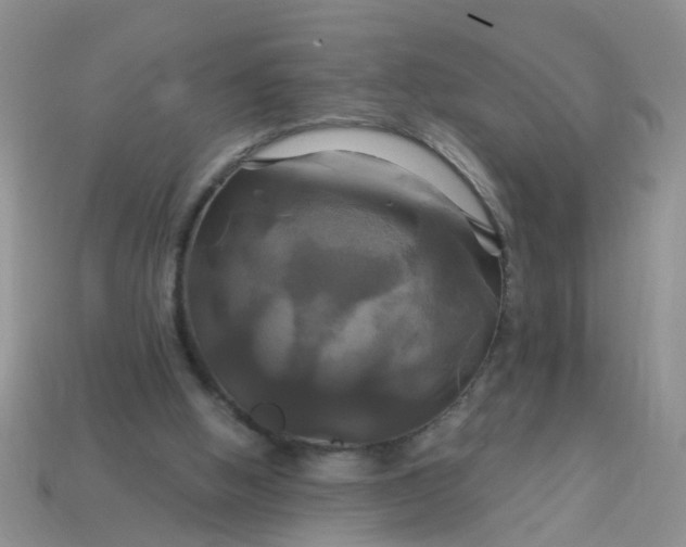 X0000113050058200909101948