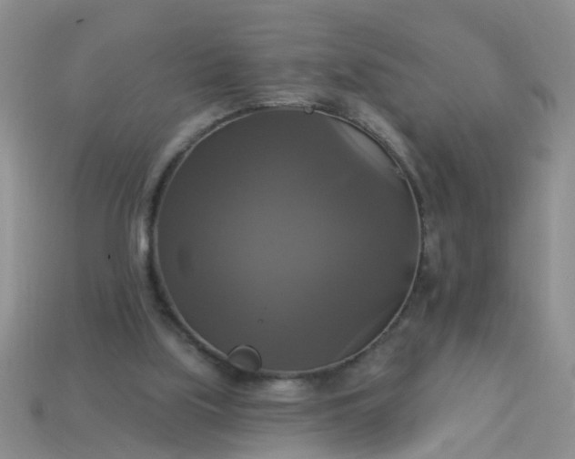 X0000113050059200909101948