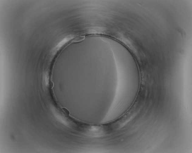 X0000113050060200909101948