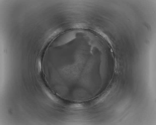 X0000113050061200909101948