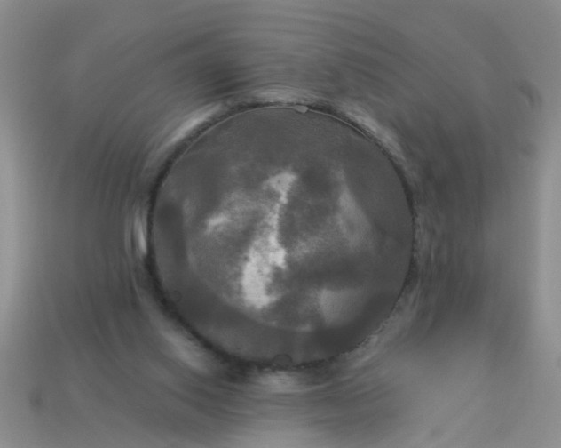 X0000113050062200909101948