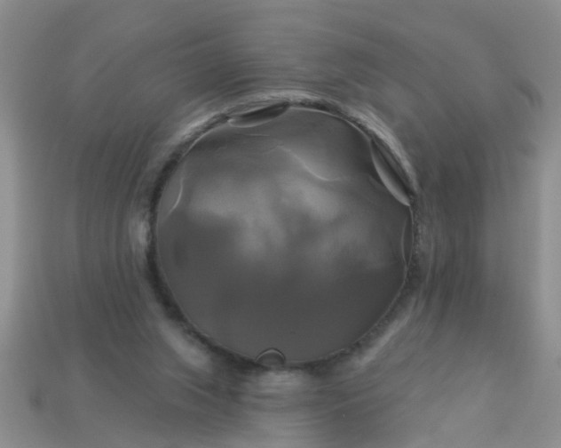 X0000113050063200909101948