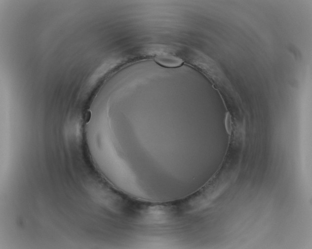 X0000113050064200909101948