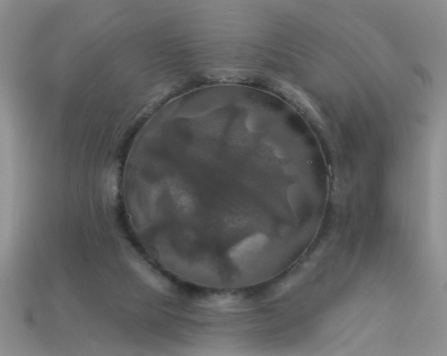 X0000113050065200909101948