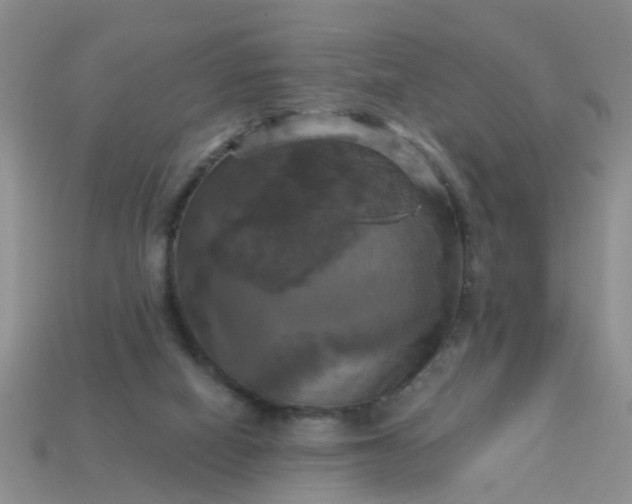 X0000113050066200909101948