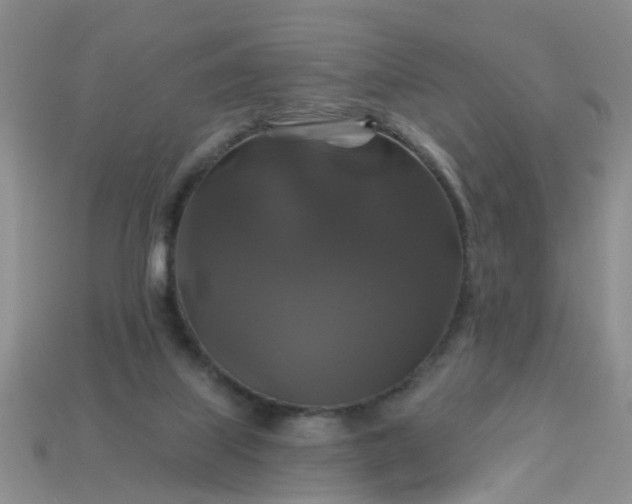 X0000113050067200909101948