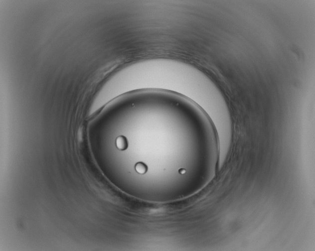 X0000113050068200909101948