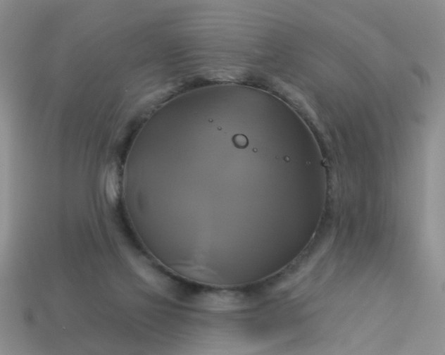 X0000113050069200909101948