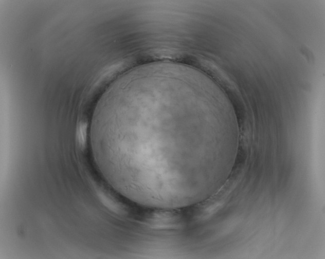 X0000113050070200909101948