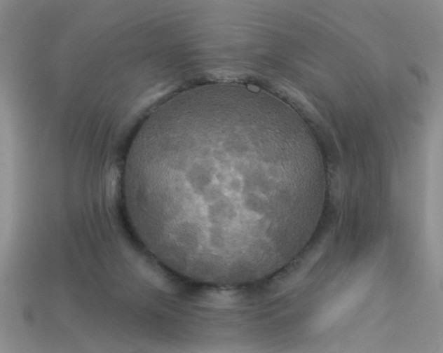 X0000113050071200909101948