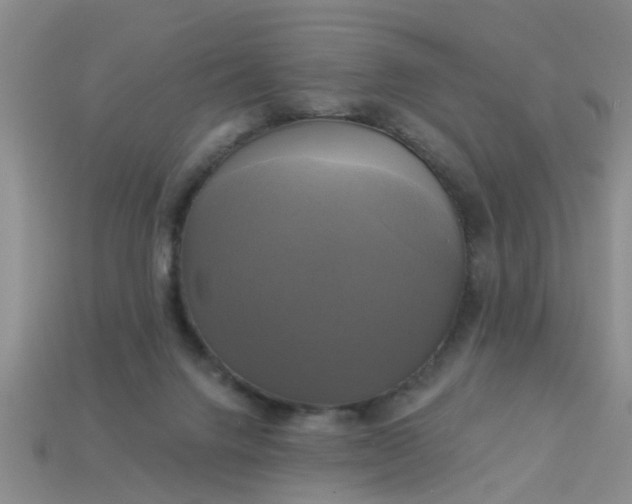 X0000113050072200909101948