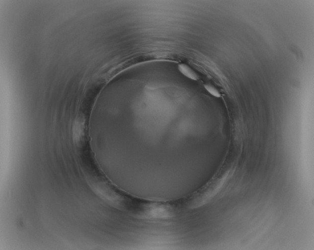 X0000113050073200909101948