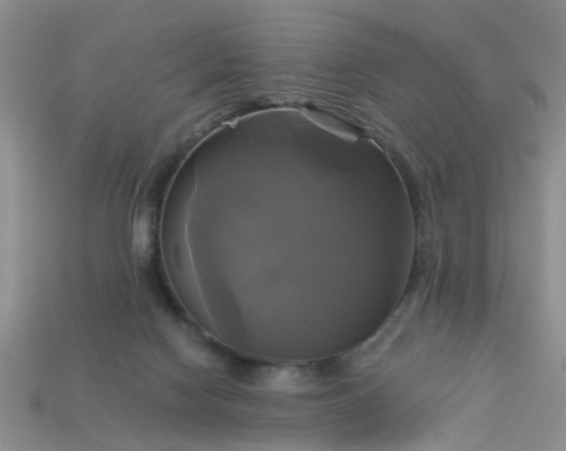 X0000113050074200909101948