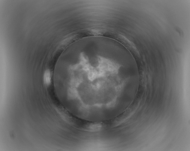 X0000113050075200909101948