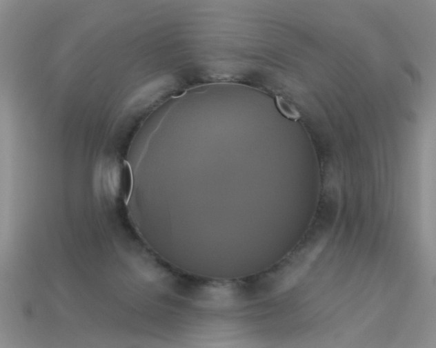 X0000113050076200909101948