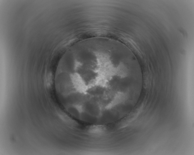 X0000113050077200909101948