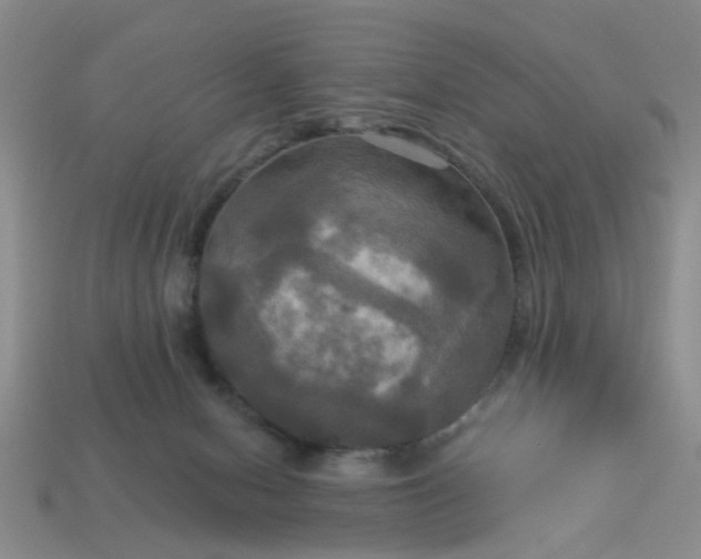 X0000113050078200909101948