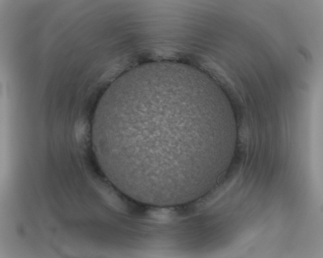 X0000113050079200909101948