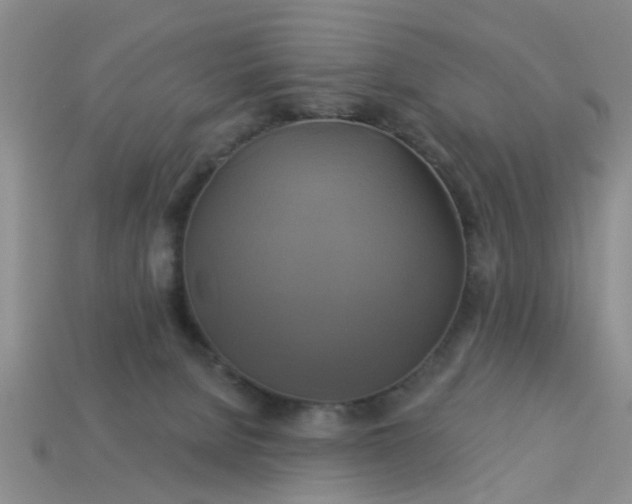 X0000113050080200909101948