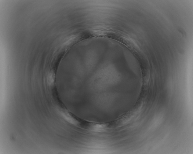 X0000113050081200909101948