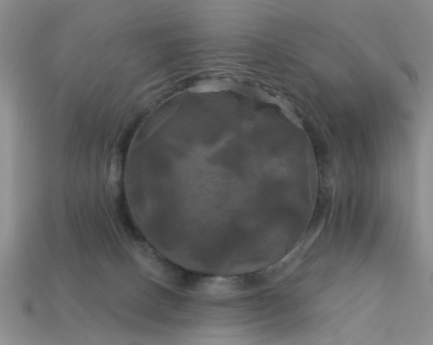 X0000113050082200909101948