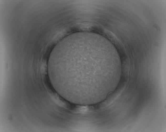 X0000113050083200909101948