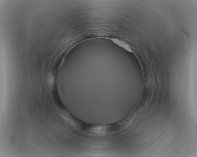 X0000113050084200909101948