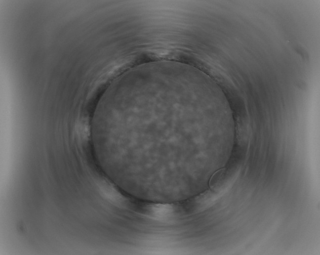 X0000113050085200909101948