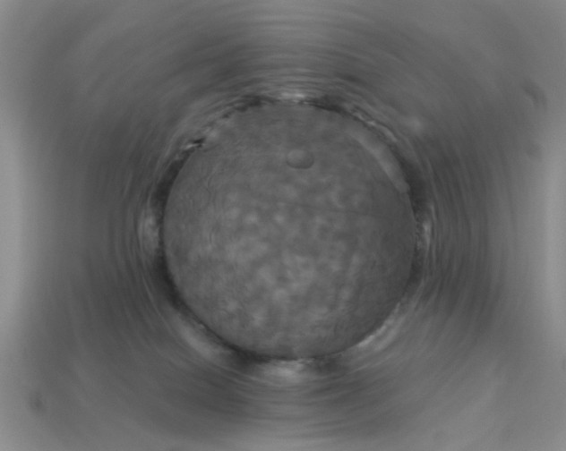 X0000113050086200909101948