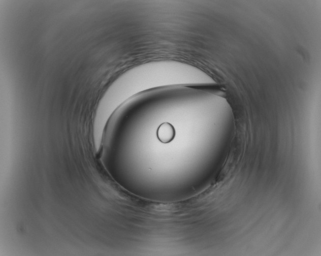 X0000113050088200909101948