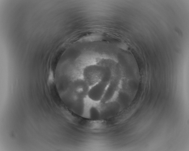 X0000113050089200909101948