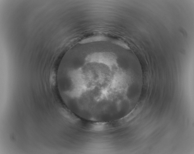 X0000113050090200909101948