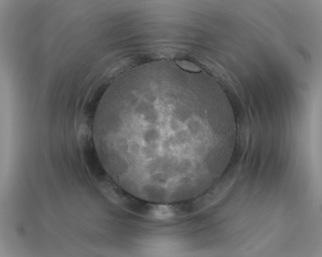 X0000113050091200909101948