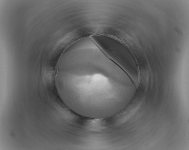 X0000113050092200909101948