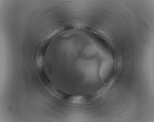 X0000113050093200909101948