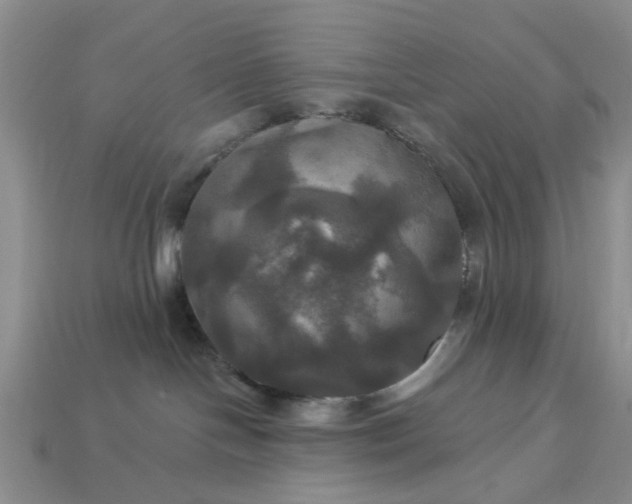 X0000113050094200909101948