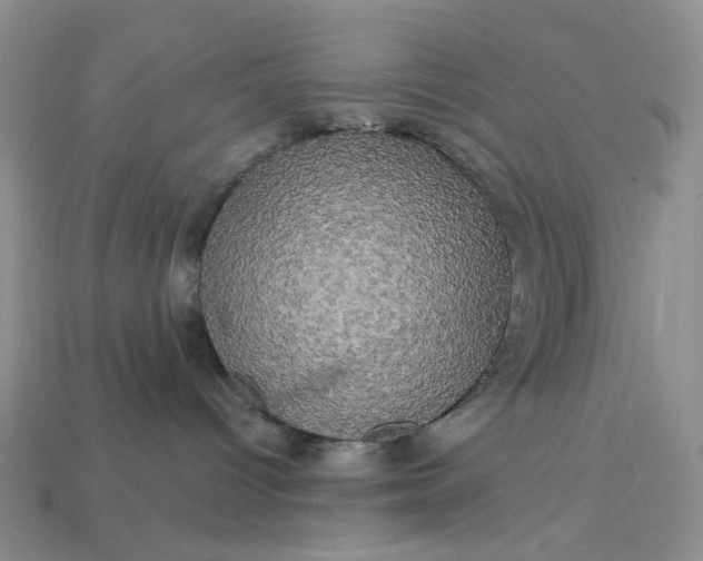 X0000113050096200909101948