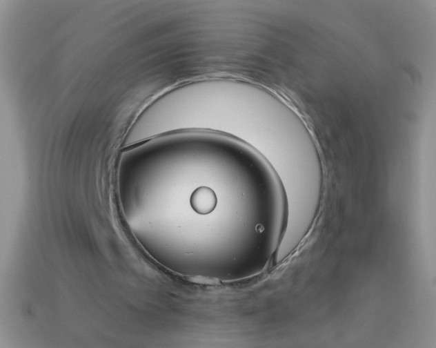 X0000113050097200909101948