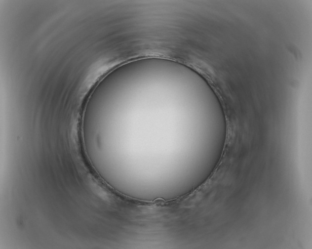 X0000113050098200909101948