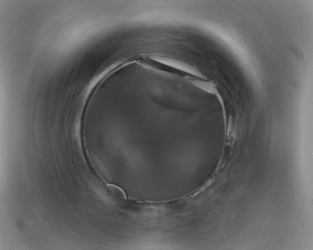 X0000113050099200909101948