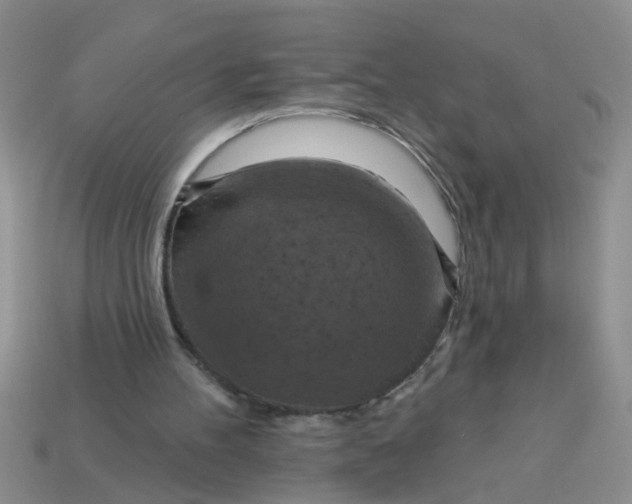 X0000113050100200909101948