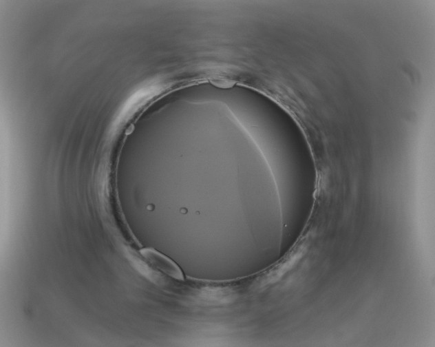 X0000113050101200909101948