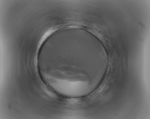 X0000113050102200909101948