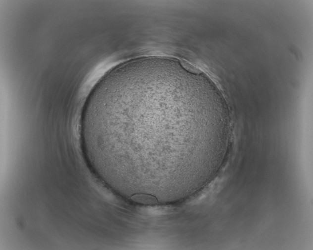 X0000113050103200909101948