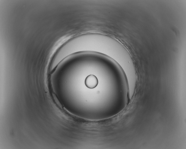 X0000113050104200909101948