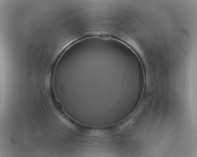 X0000113050105200909101948