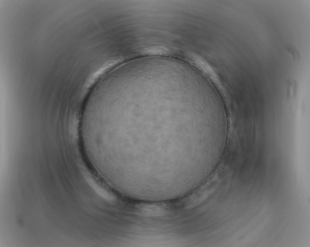 X0000113050106200909101948