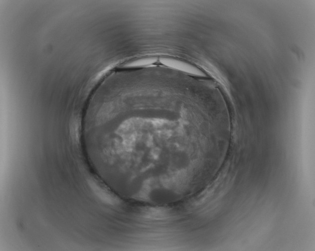 X0000113050107200909101948