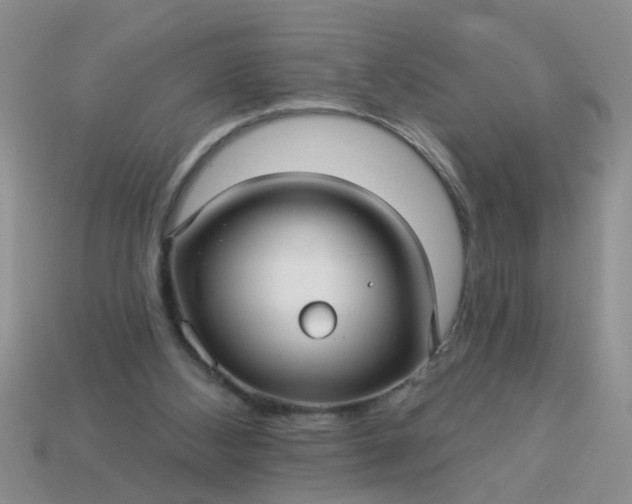 X0000113050108200909101948