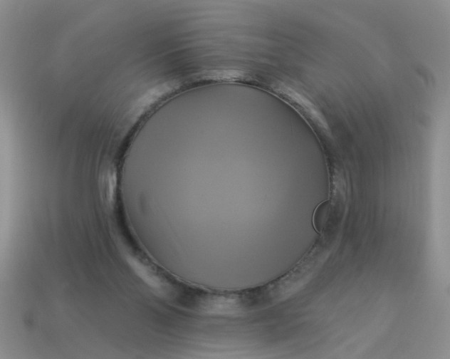 X0000113050110200909101948